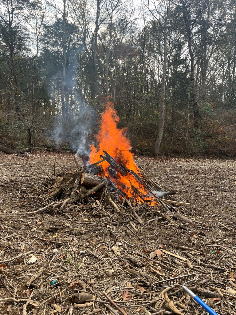 Burning the piles