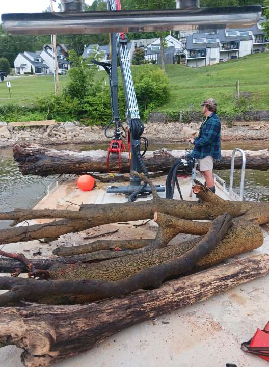 Boone Salt Spring Spring Cleanup Continues – Boone Lake Association
