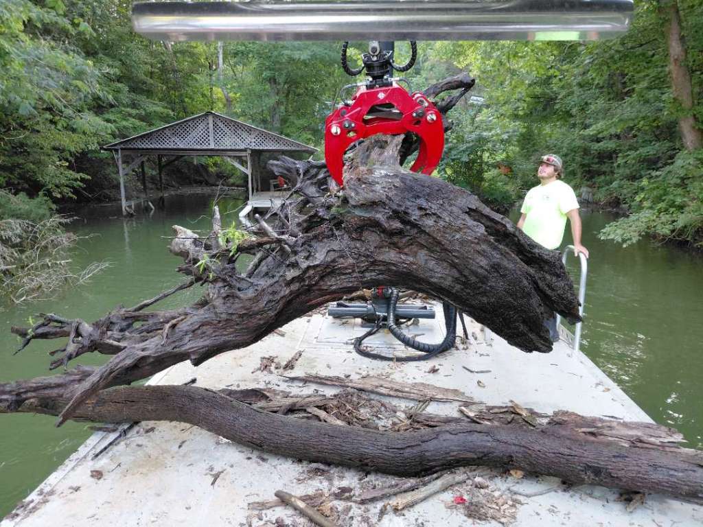 Largest Tree Truck removed